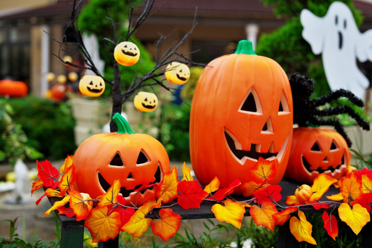 レジャー施設で実践したいイベント企画のアイデア