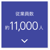 従業員数約11,000人