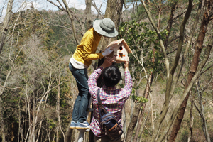 鳥の巣箱を設置