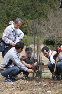 植樹後、シカの食害を防ぐためのネットを敷設