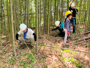 竹林の中で伐採作業