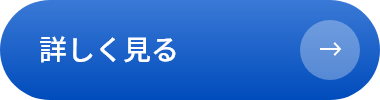 詳しく見る