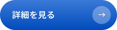 詳細を見る