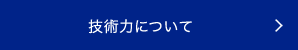 aaaaaについて