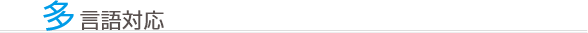 多言語対応 